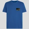 BOX LOGO T-PAITA